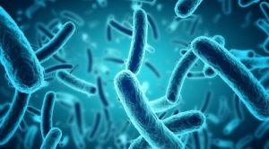 Cinsel yolla bulaşan hastalık ortaya çıktı: Antibiyotiğe dayanıklı bakteri paniği yaşanıyor